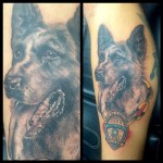 police dog, tattoo, german shepherd, malinois, police, portrait, dog portrait, dog