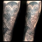 Tattoo Ideas, Traditional Tattoos, Owl Tattoo, Tattoo Inspiration, Google Search, owl Tattoos, Traditional owl Tattoo, owl Tattoo