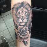 Lion Portrait, traditional lion tattoo, lion tattoo, Iron Tiger, Tattoo, Columbia Mo, Gabe Garcia