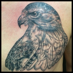 Hawk, Tattoo, Traditional, Traditional hawk Tattoo, Columbia MO, Iron Tiger, Gabe Garcia