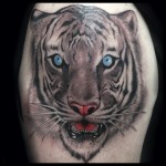 tiger, tattoo, blue eyes