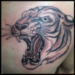 Traditional, Tiger, tiger head, Tattoo, Iron tiger, Columbia MO, Gabe Garcia