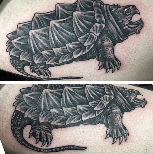 kingsnakecom photo gallery  Snapping Turtles  new tattoo a snapping  turtle haha
