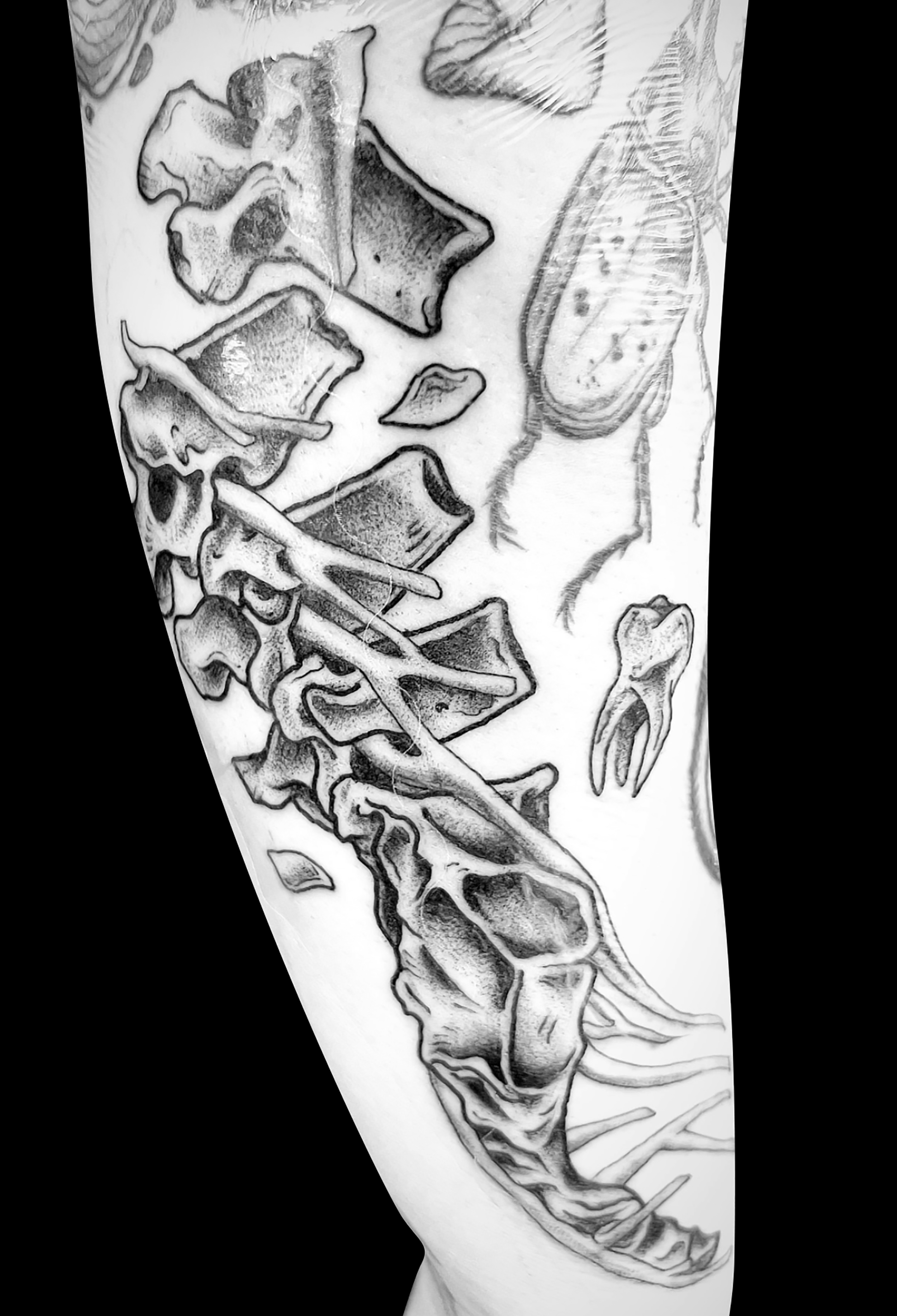 Pig Iron tattoo (ANWL) | Colm Callanan | Flickr